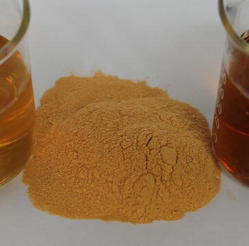 HVP Lamb Flavour Powder, Pack Size: Kilogram