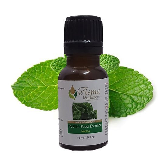 Liquid Natural Pudina Food Flavor Essence, Packaging Type: Bottle