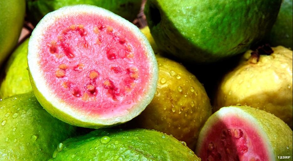 Guava Flavour, Liquid, Packaging Size: 20 Litre