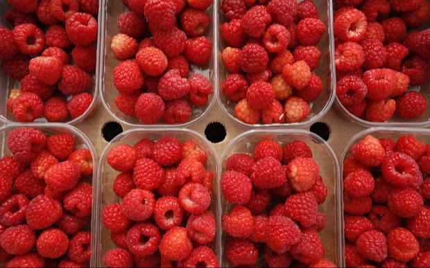 Raspberry Flavor, Liquid