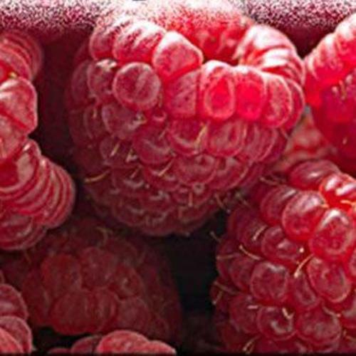 Liquid Raspberry Flavor, Packaging Size: 5 L