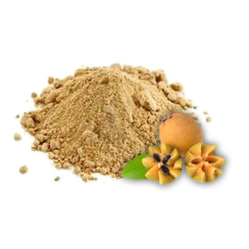 Spray Dried Chikoo Powder, HDPE Drums