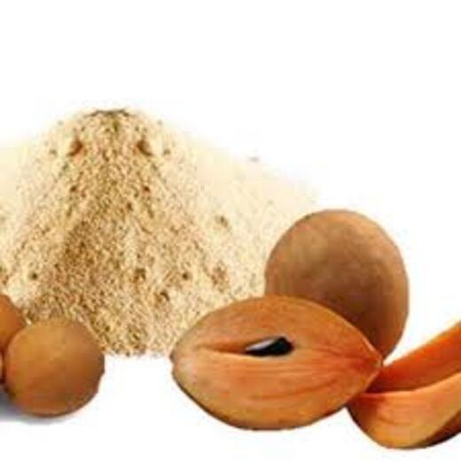 Chiku Powder, For Personal, Packaging Size: 200 Gm