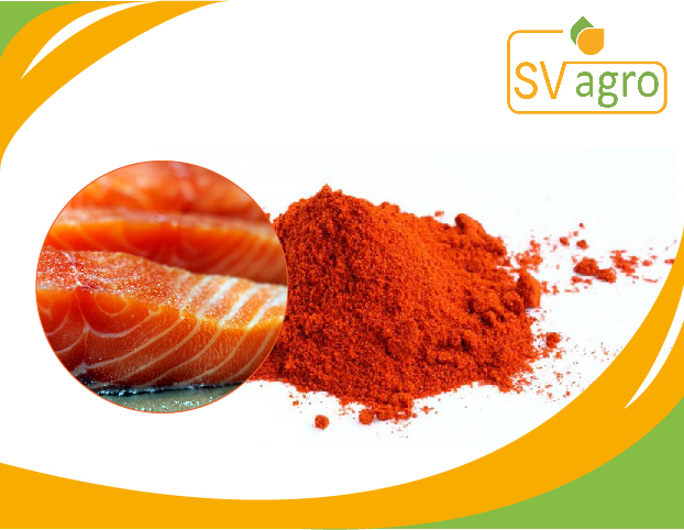 SV Agro Astaxanthin Extract Powder, Packaging Type: PP Polybags, Hdpe Drums, Packaging Size: 10-25 kg