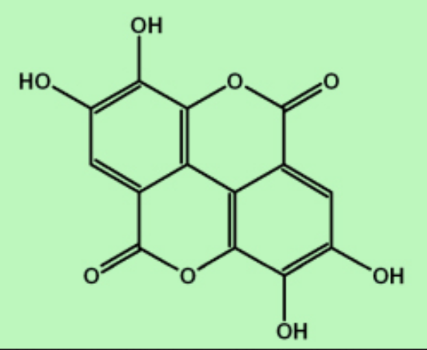 Ellagic Acid