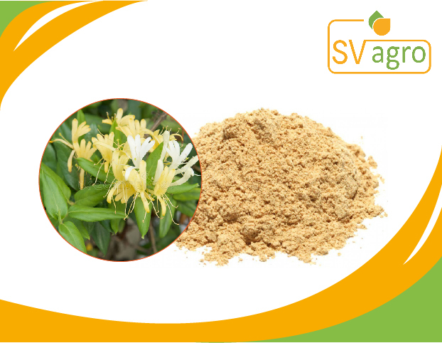 Powder Off White Chlorogenic Acid, Packaging Size: 25 Kg, Packaging Type: Pp Polybags, Hdpe Drums