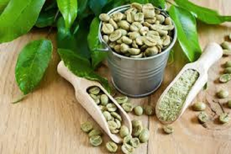 Technical Grade Green Coffee 50% Chlorogenic Acid Powder