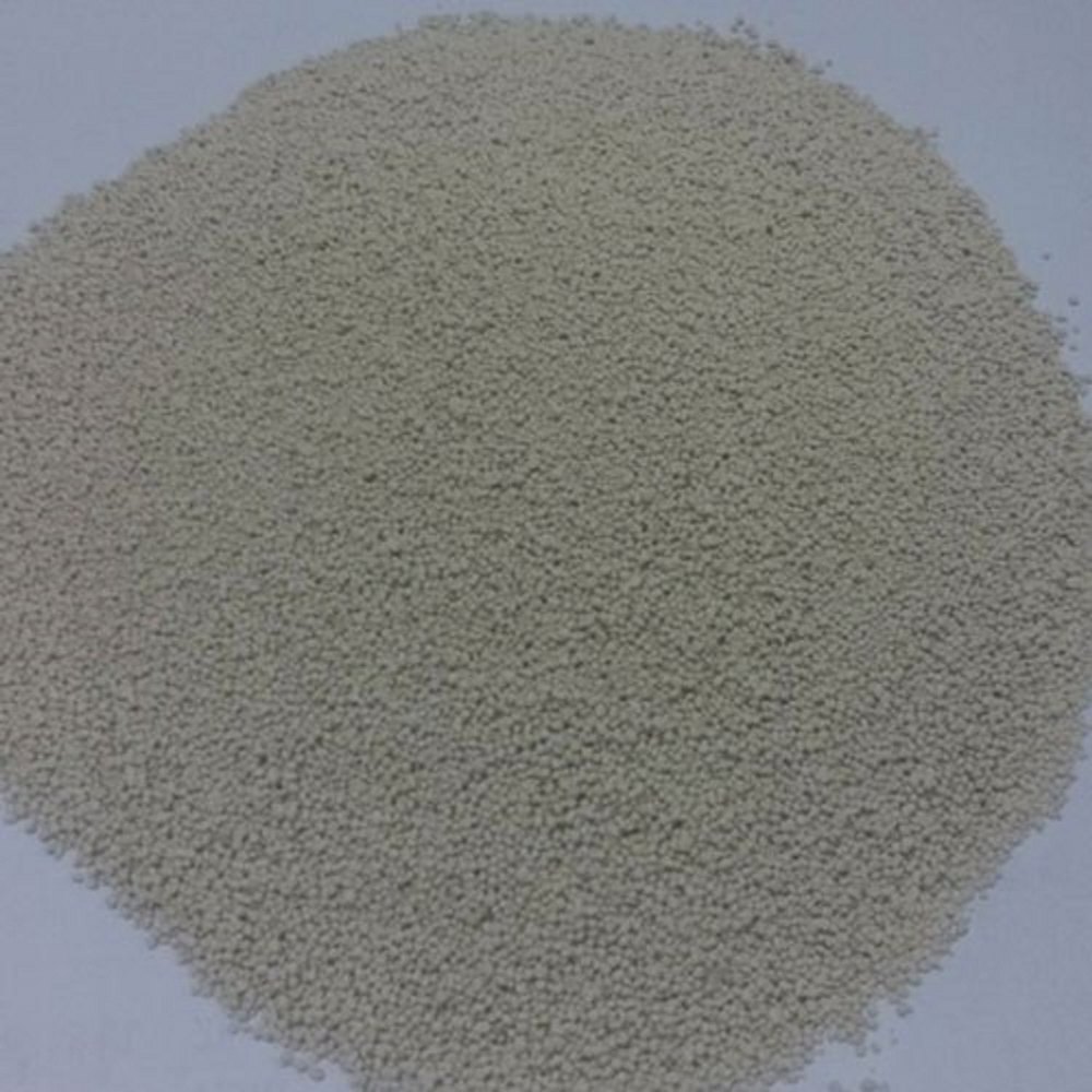 Fungal Lipase Powder, Packaging Type: Packet, Packaging Size: 1 Kg