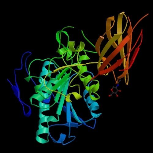 Activity Lipase Enzyme, Pack Size: 25 Kg, Packaging Type: Bag