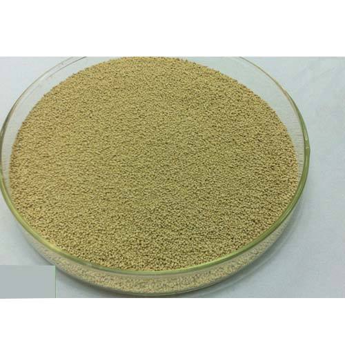 Drum Lipase Extract, Pack Size: 25 Kg