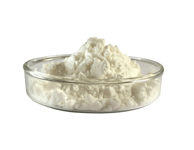 Lactase Extract