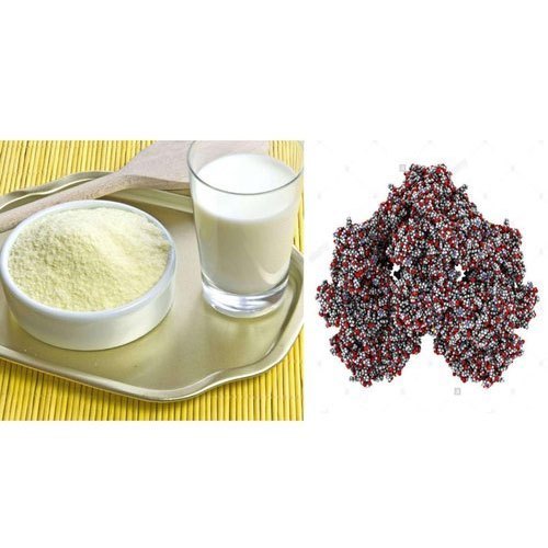 Fungal Lactase, Powder, Packaging Size: 25 Kg