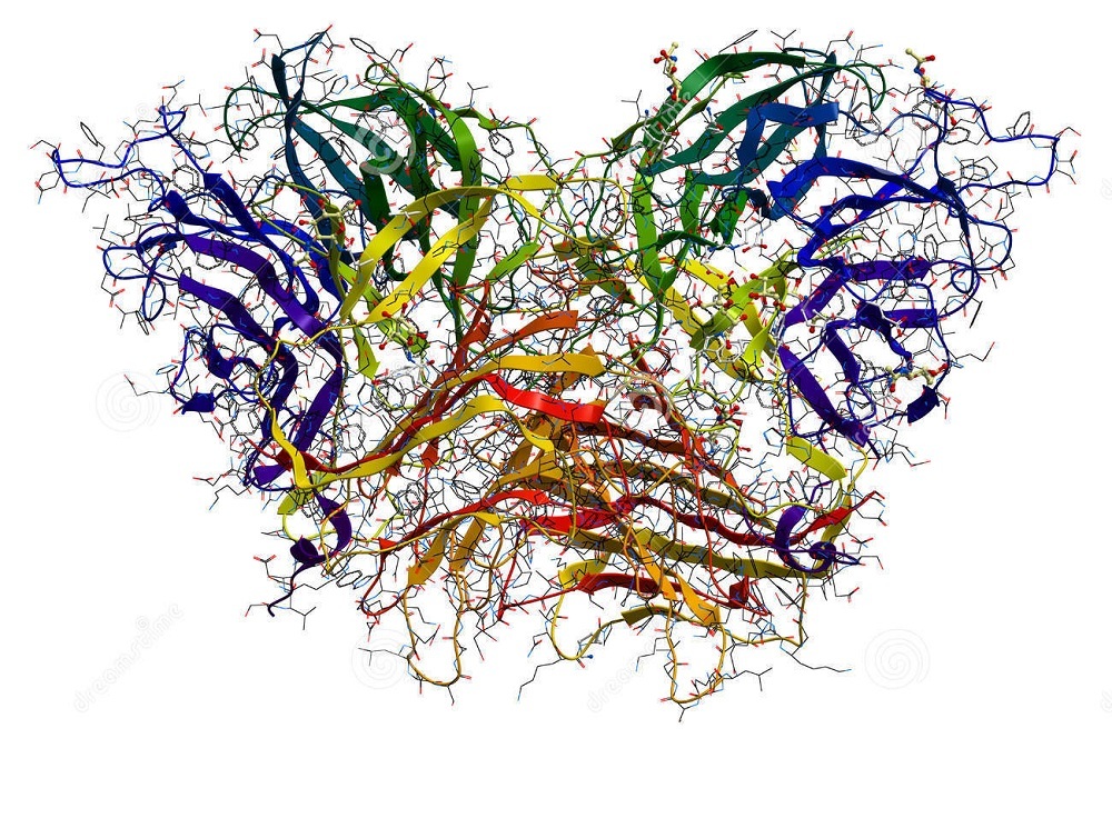 Invertase, Pack Size: 25 Kg, Packaging Type: Bag - Drum