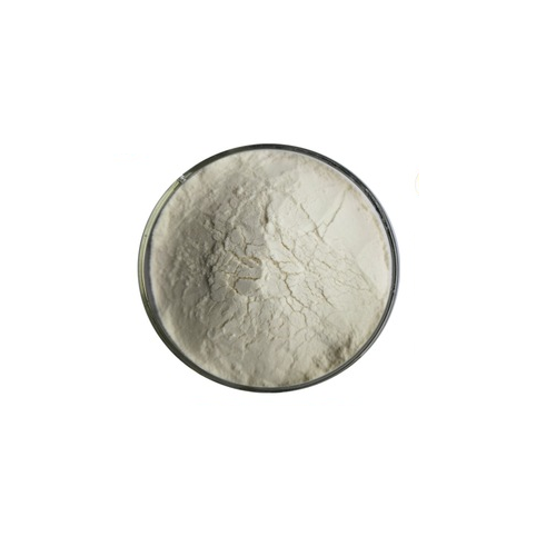 Invertase Enzyme, Pack Size: 25 Kg