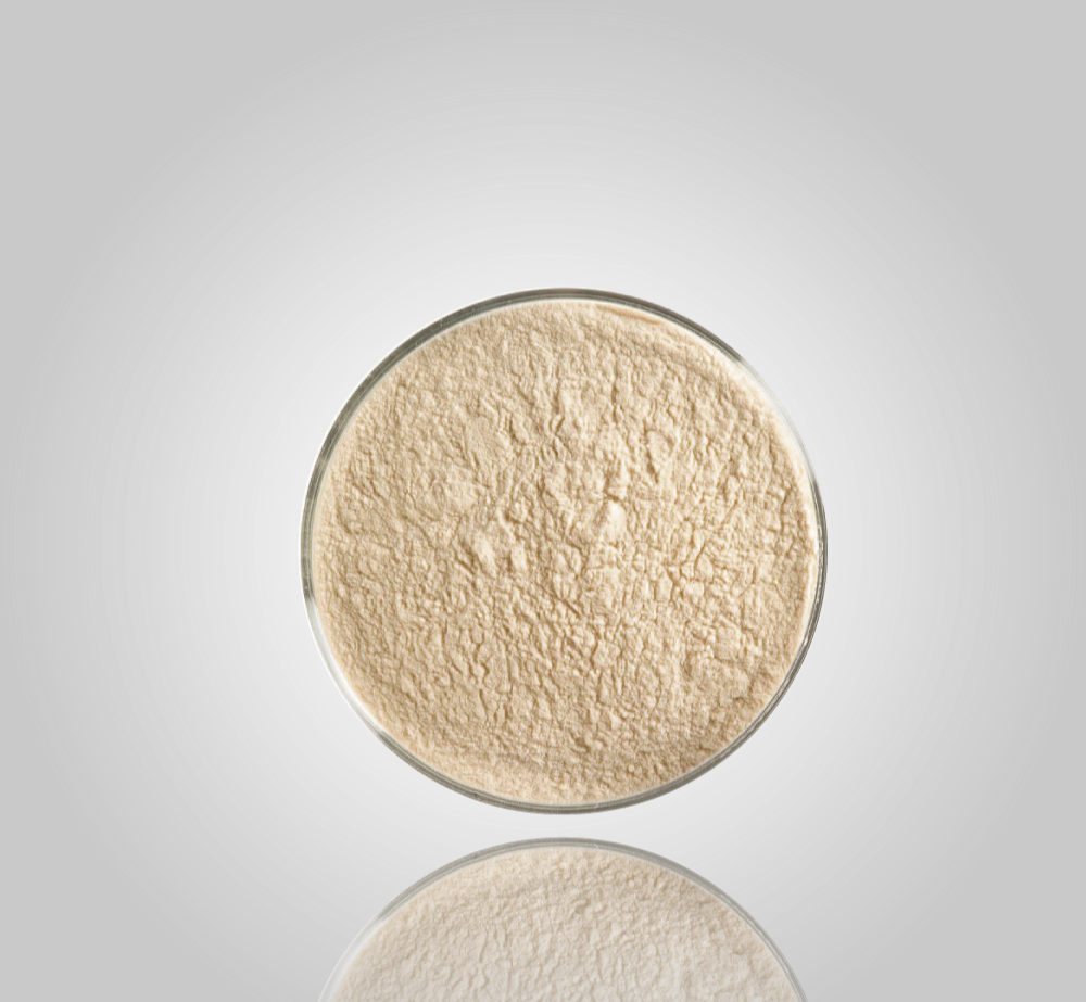 Nattokinase Enzyme, For Pharmaceutical Industry, Packaging Type: Packet