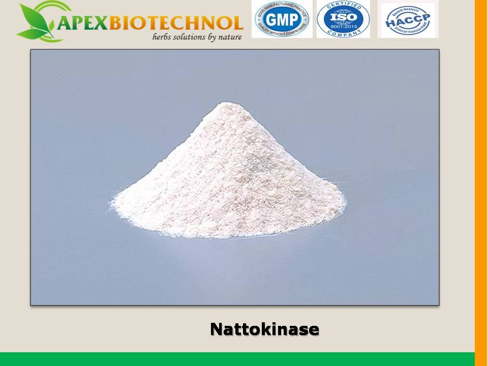 Nattokinase