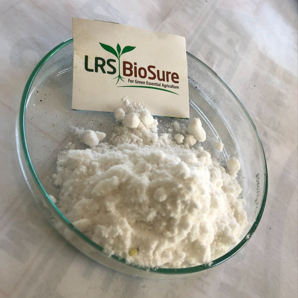 Powder Calcium Silicate, Hdpe Bag, 50 kg