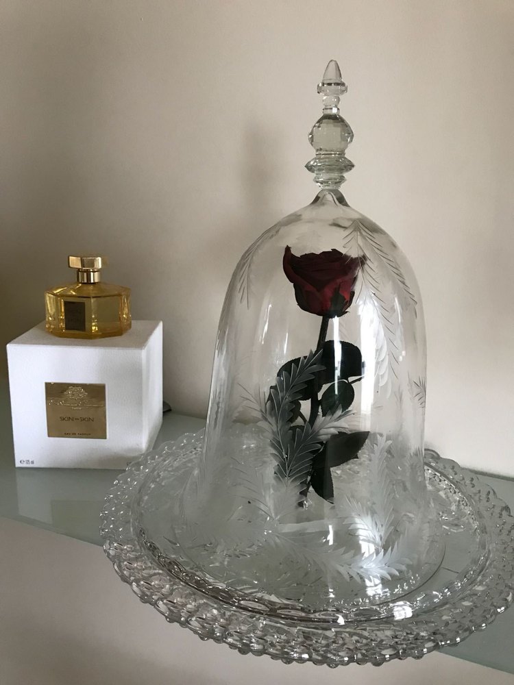 Alsa International Natural Glass Dome Bell Jar, Size: 8.75x12.50 inches