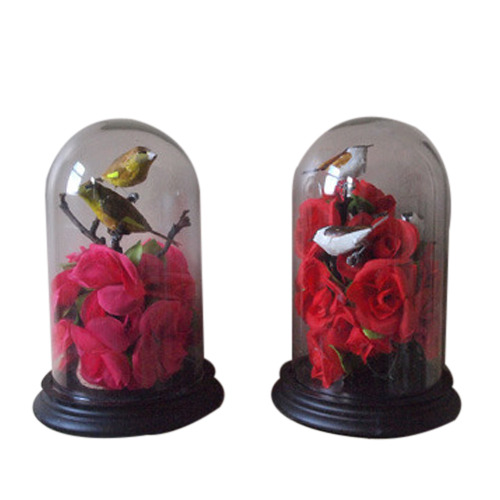Clear Glass Dome/Glass Bell Jar, Size: 10x17 cm