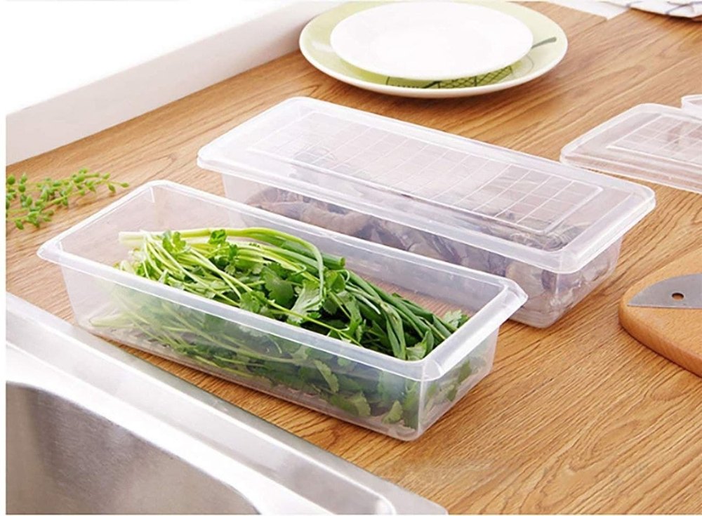Plastic Plain Fish Food Container, Rectangle, Capacity: 1000 ml