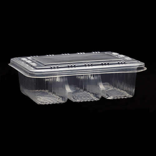 Plastic Rectangular Cookie Fruit Box