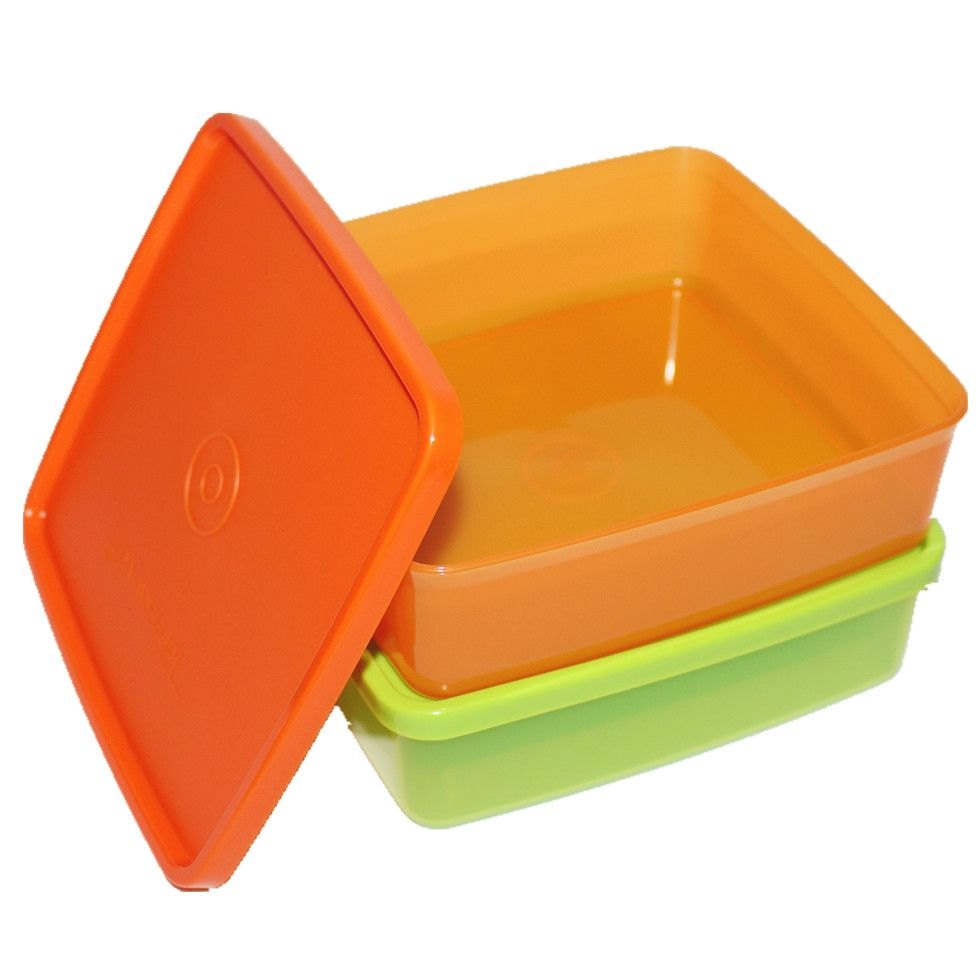 Tupperware Plastic Lunch Box