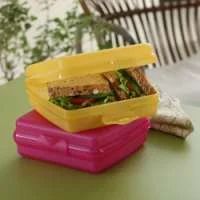 Tupperware Sandwich Keeper