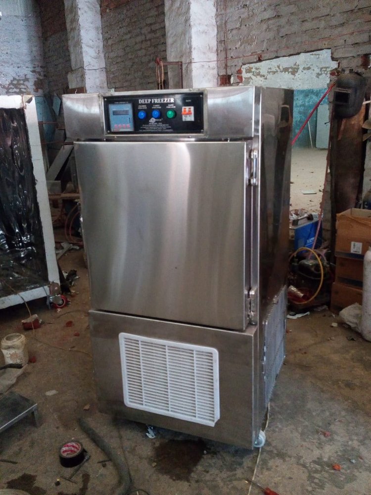 Medium SS Deep Freezer Vertical