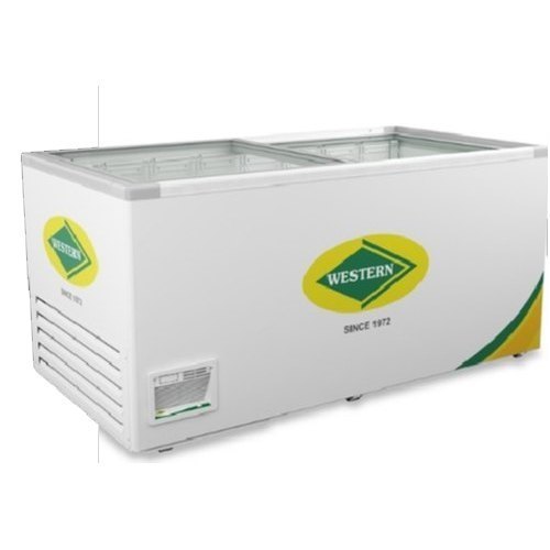Medium Western Glass Top Freezer
