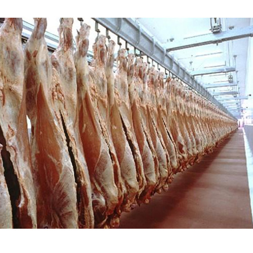 Stainless Steel Folding Door Chiller Meat Freezer, Capacity: 100 L