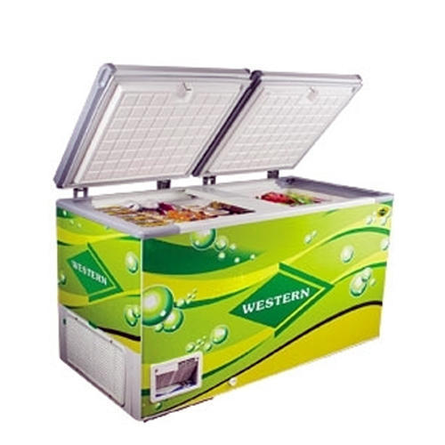 Electric Western 425lit Convertible Freezer, Automation Grade: Automatic