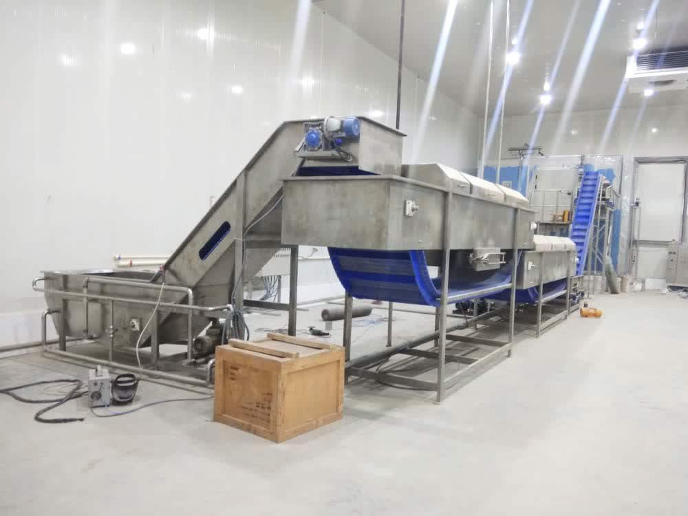 BOMBAY AMONIA IQF Individual quick freezer