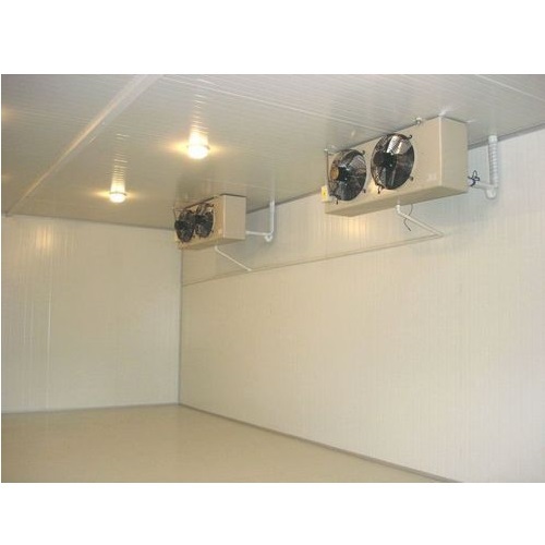 Individual Quick Freezer, Capacity: 100 L