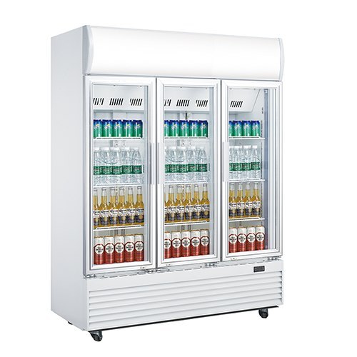 Globus Combo Half Cooler, Half Freezer