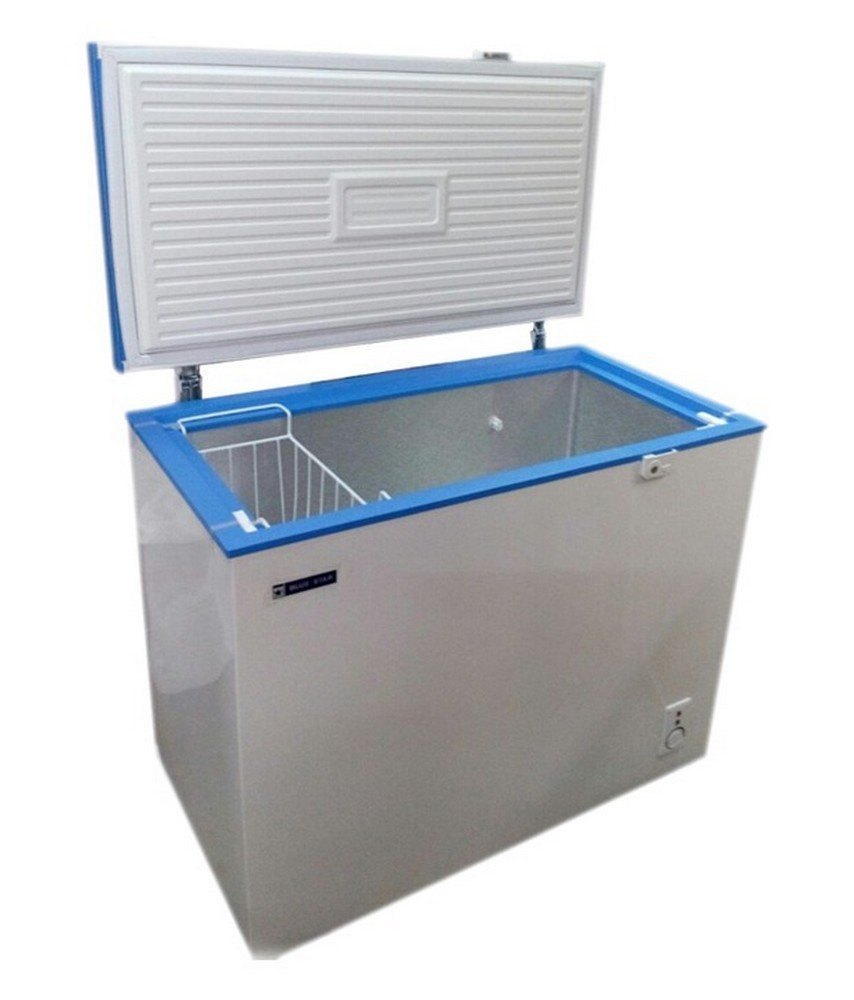 Blue Star Freezers, Capacity: 200 L, Number of Basket: Std