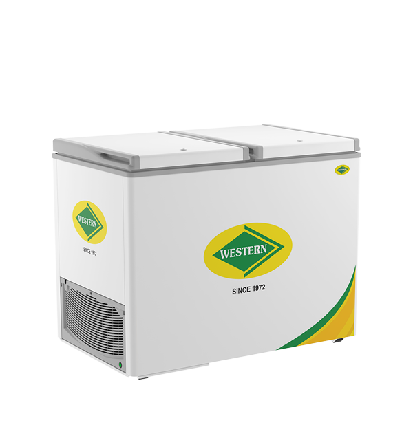 White Double Door Western Deep Freezer, Manual Defrost, Capacity: 300 L