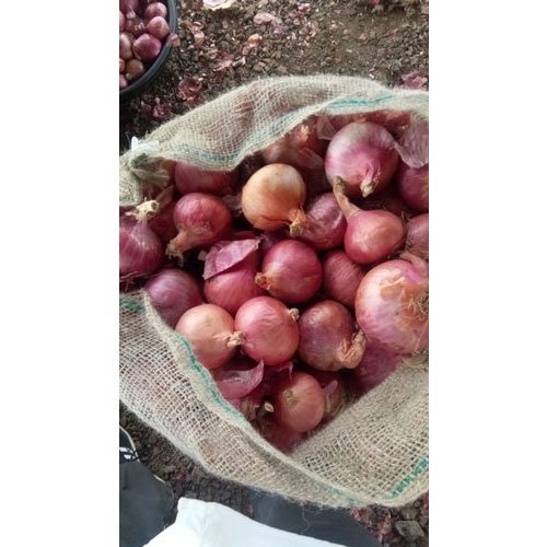 Pune and Ahmednagar Onions A Grade Onion
