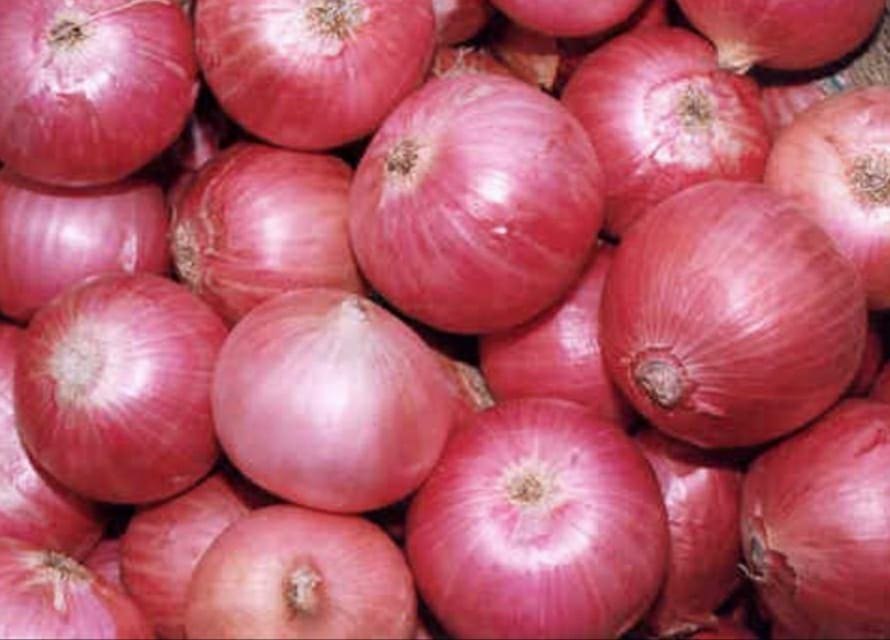 A Grade Maharashtra Onion, Net Bag, Packaging Size: 50 Kg