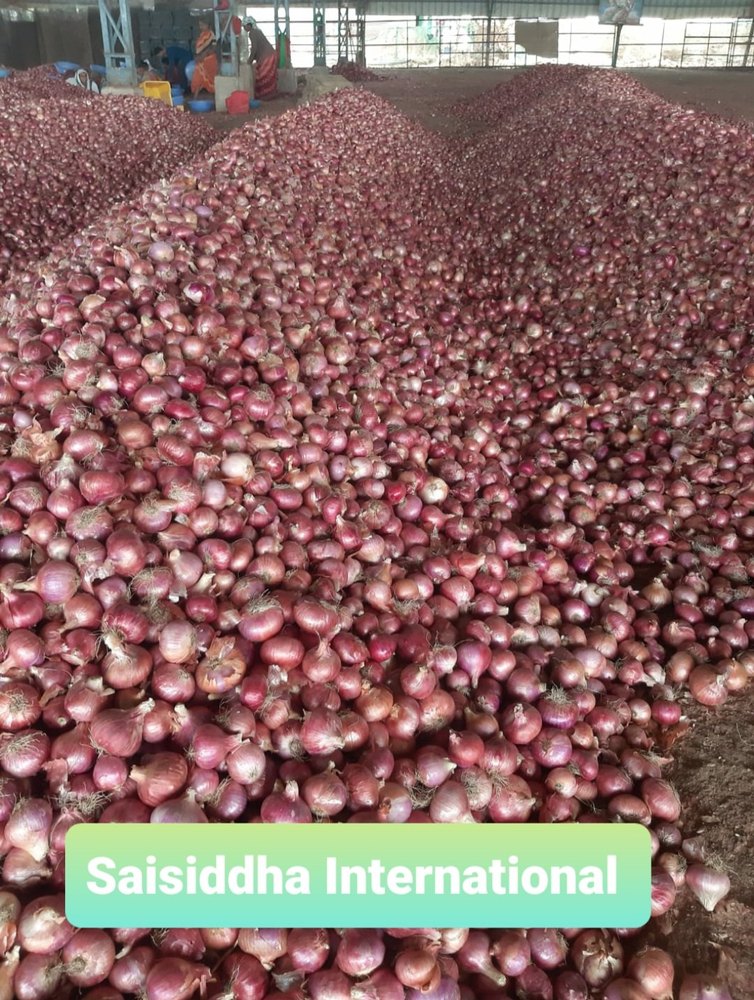 A Grade Maharashtra Onion Kerla, For Human Consumption, Onion Size Available: Large
