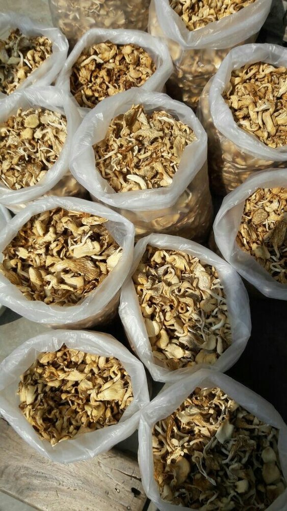TAMILNADU DRY OYSTER MUSHROOM, Packaging Type: Plastic Bag, Packaging Size: 10 Kg
