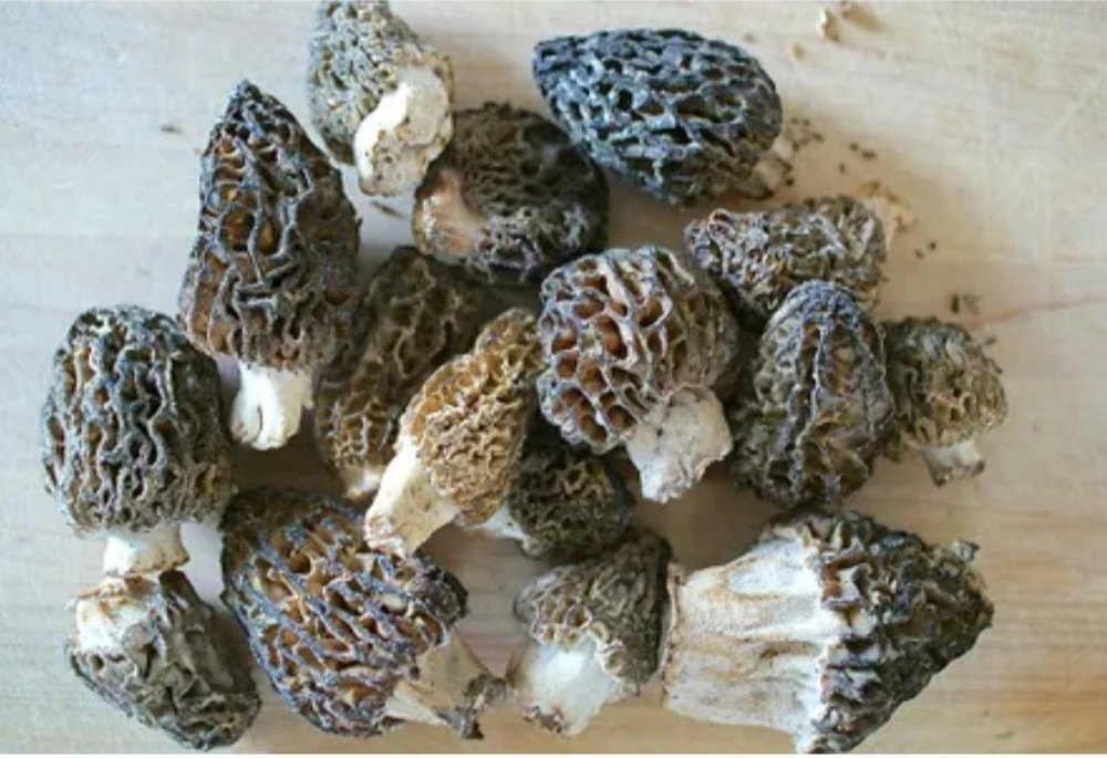 A Grade Dried morel Mushroom, Vacuum Bag