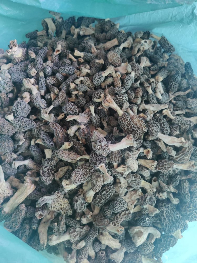 A Grade Dried Mushroom Kashmiri Morels Mushrooms, Bag, Packaging Size: 5 Kg