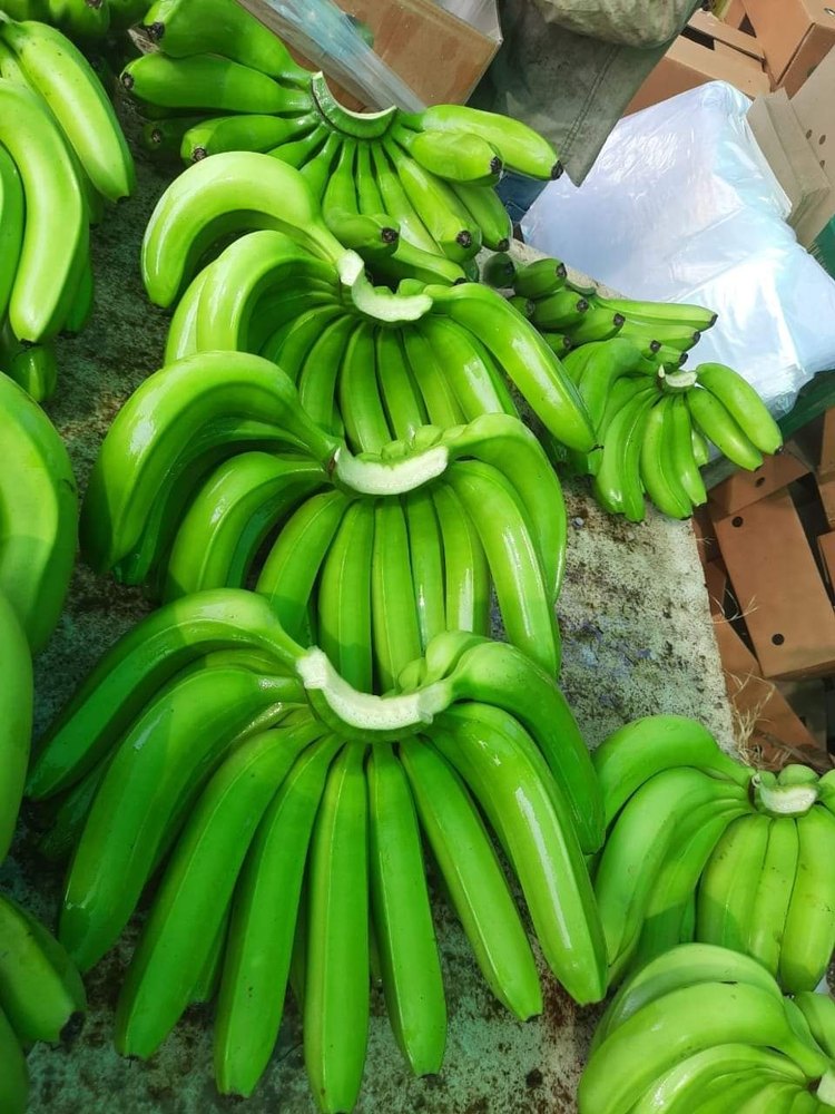 A Grade Maharashtra Fresh Green Bananas, Packaging Size: 13 Kg, Packaging Type: Carton