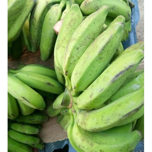 A Grade Kodaikanal Hill Green Banana, Packaging Size: 5 Kg