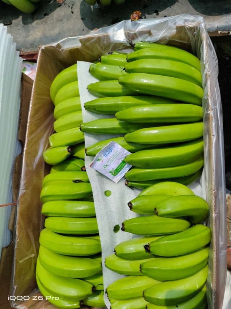 A Grade Maharashtra Raw Green Banana, Packaging Type: Loose