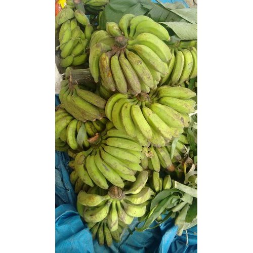 A Grade Pan India Fresh organic Hills Green Bananas, Packaging Size: 5 Kg, Packaging Type: Carton
