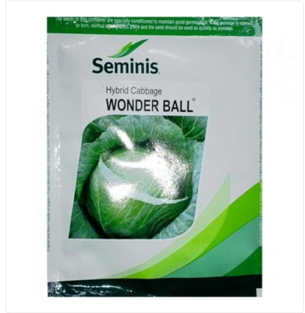 Green Seminis Wonder Ball Cabbage Hybrid Seeds Online, Packaging Type: 10gm And 50 Gm, Packaging Size: 10gm And 50gm