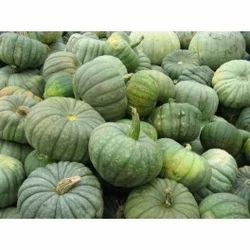 Ash Gourd