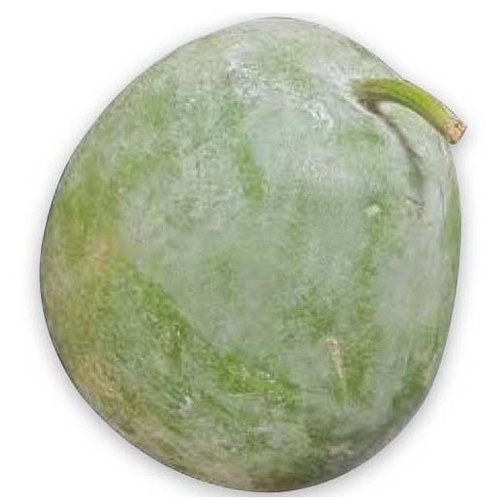 Fresh Ash Gourd, Pesticide Free (for Raw Products), Packaging: Carton, Mesh Bag