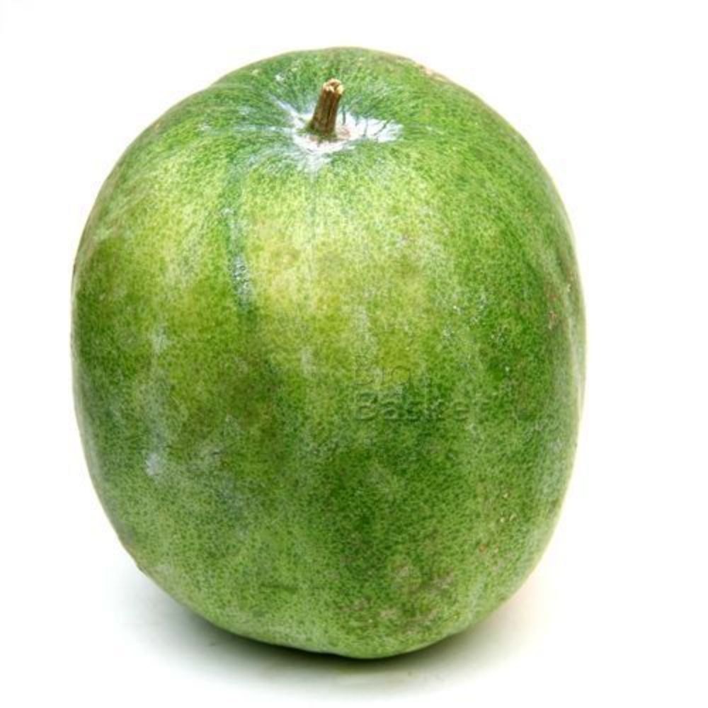 A Grade Green Fresh Ash Gourd